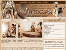 Tablet Screenshot of bonshery.ru